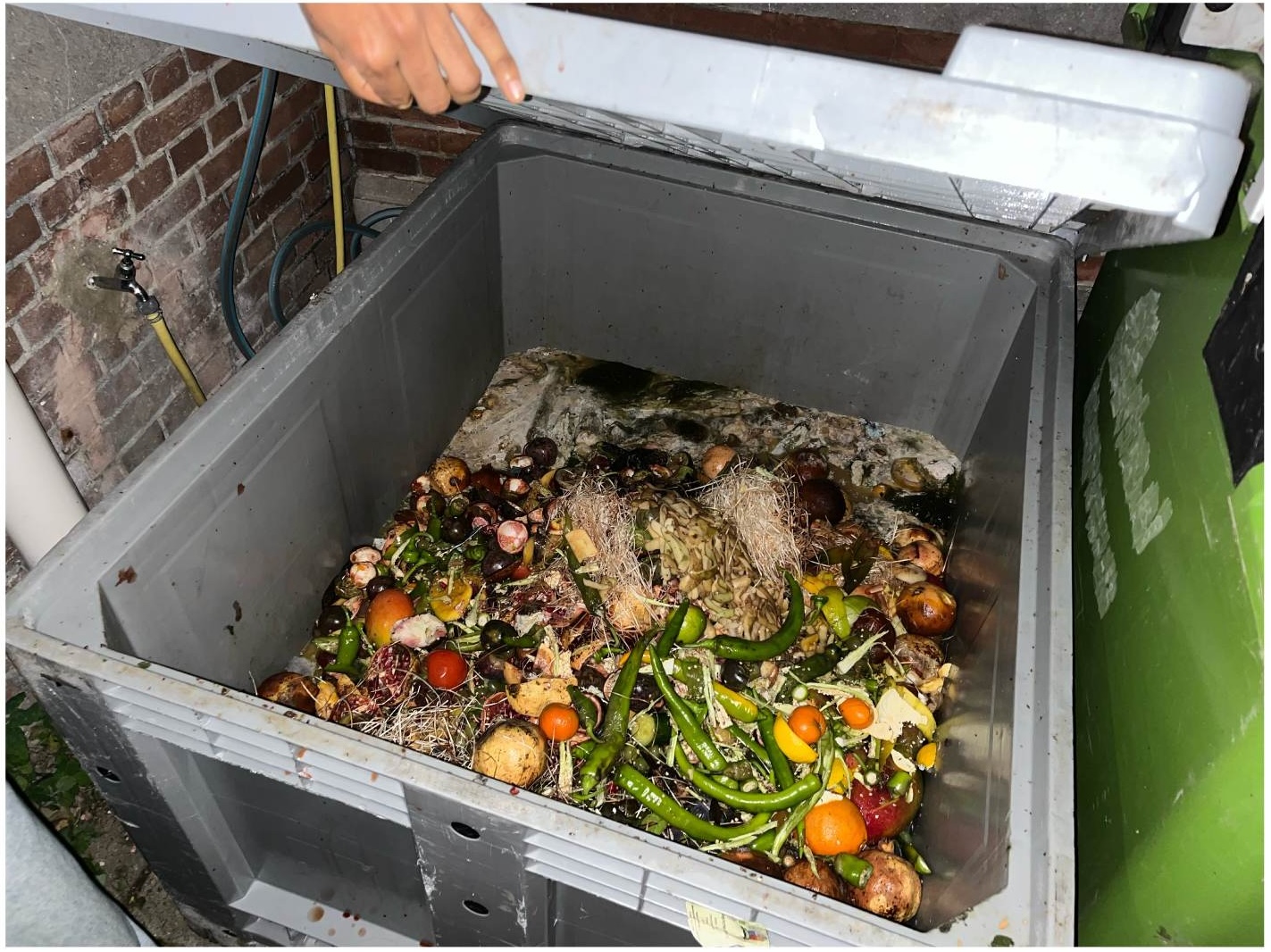 Projekt bez nazwy – 5